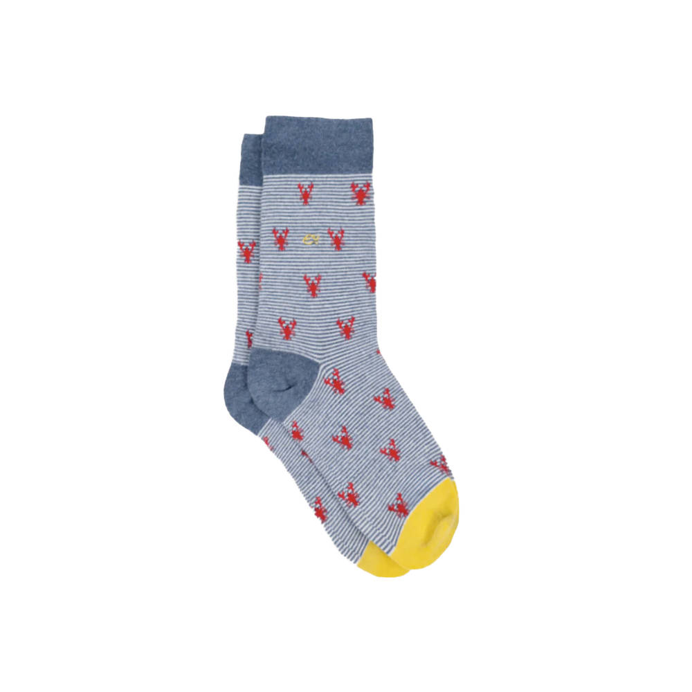 BillyBelt - Combed cotton socks Animals - Lobster